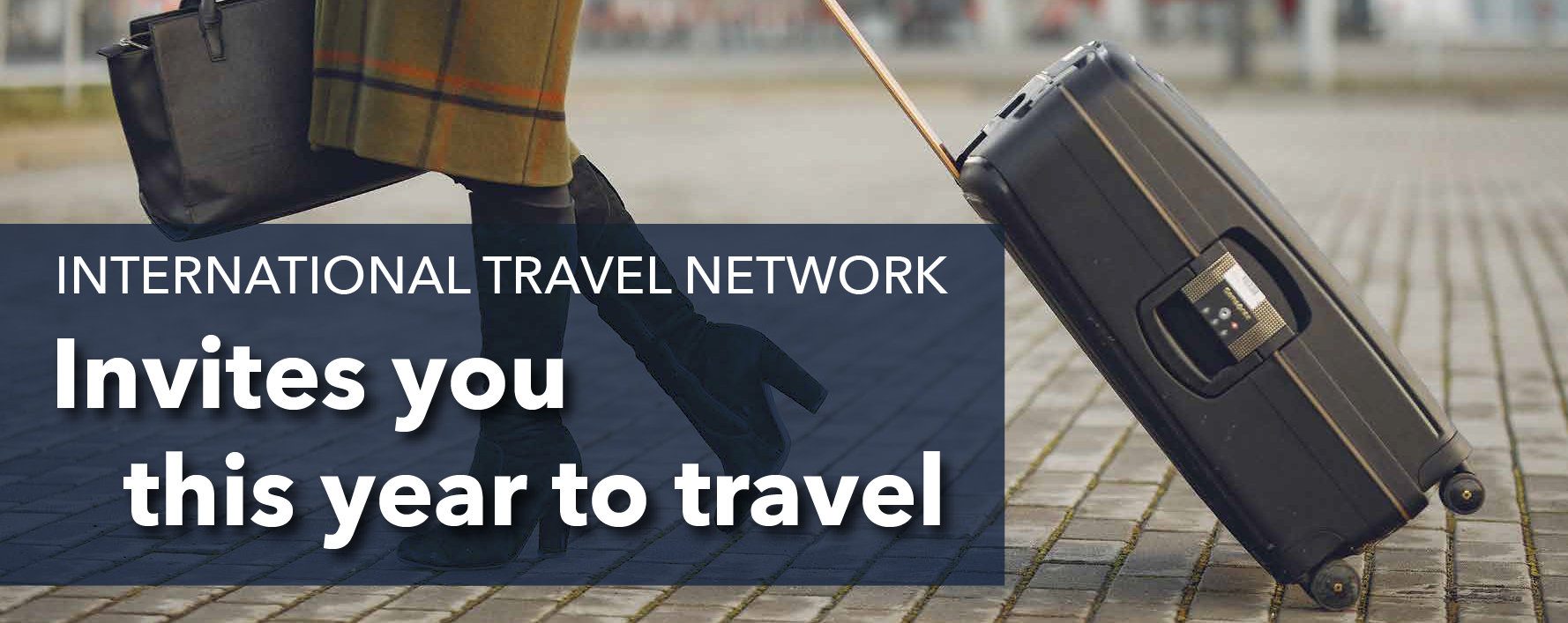 international travel network services